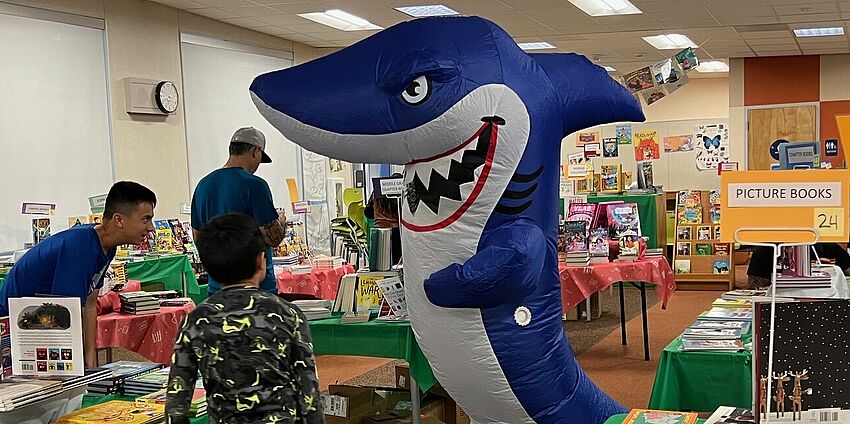 book fair in the library