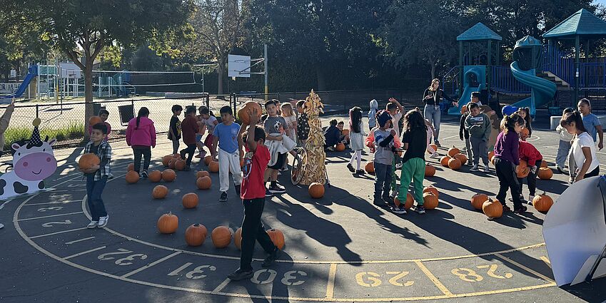 Sherman Oaks pumpkin patch