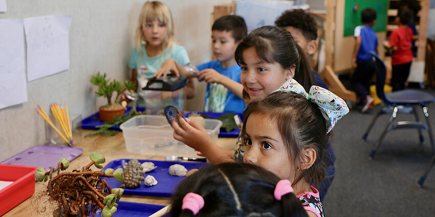 kindergarten girls and boys gather at a table to see and touch items from nature, like leaves, pine cones, and more.