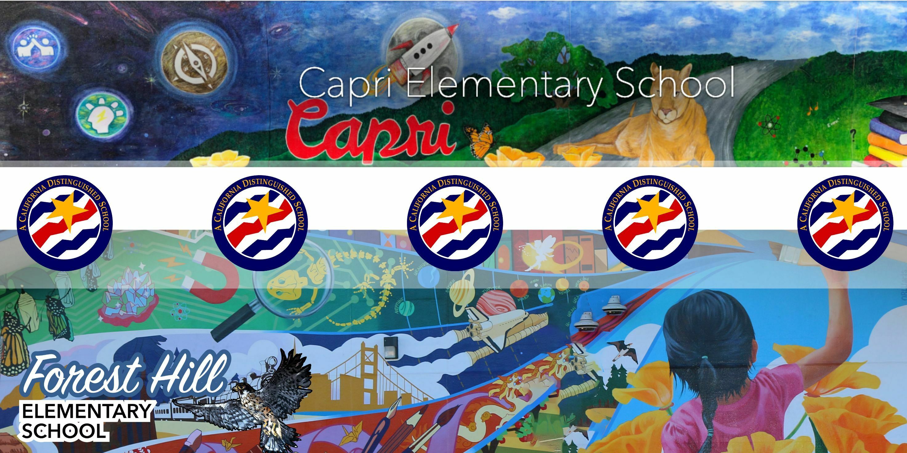 school murals with distinguished schools logo