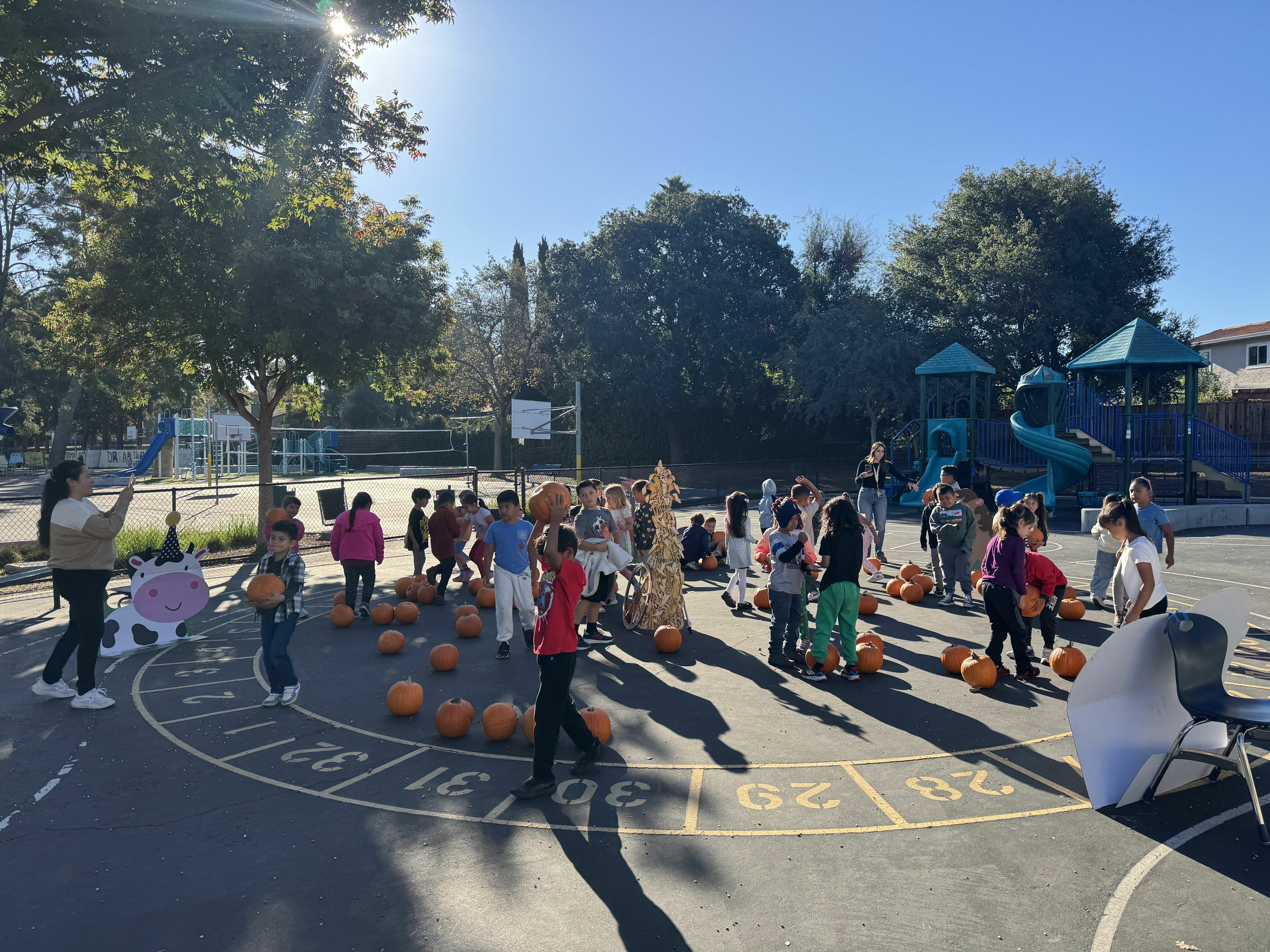 Sherman Oaks pumpkin patch