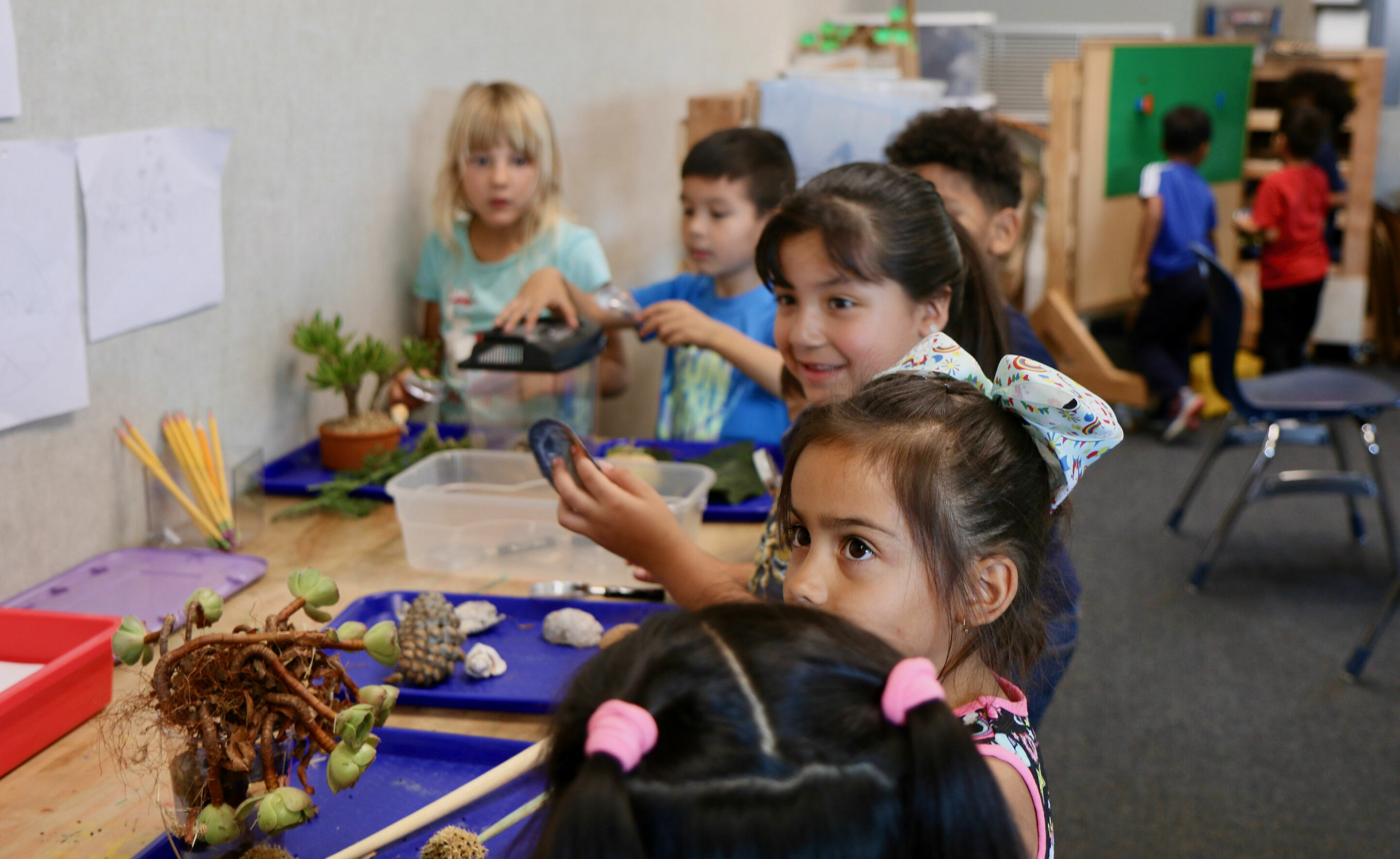 kindergarten girls and boys gather at a table to see and touch items from nature, like leaves, pine cones, and more.
